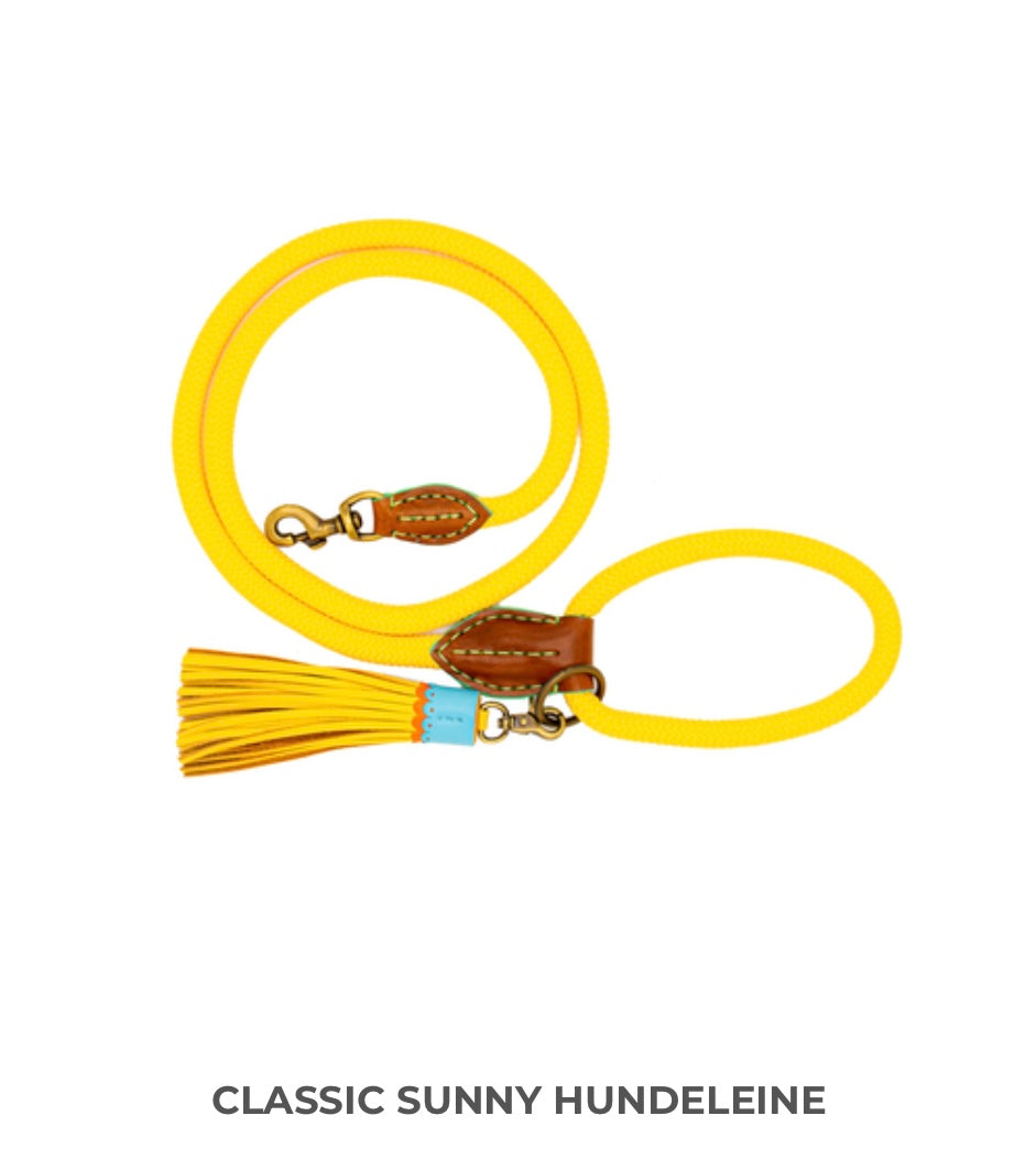 DWAM Dog with a Mission Sunny Hundeleine