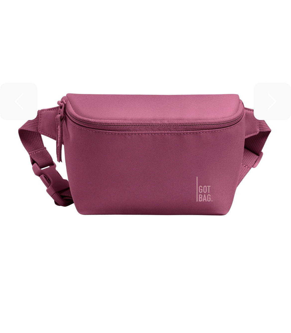 Got Bag Hip Bag 2.0