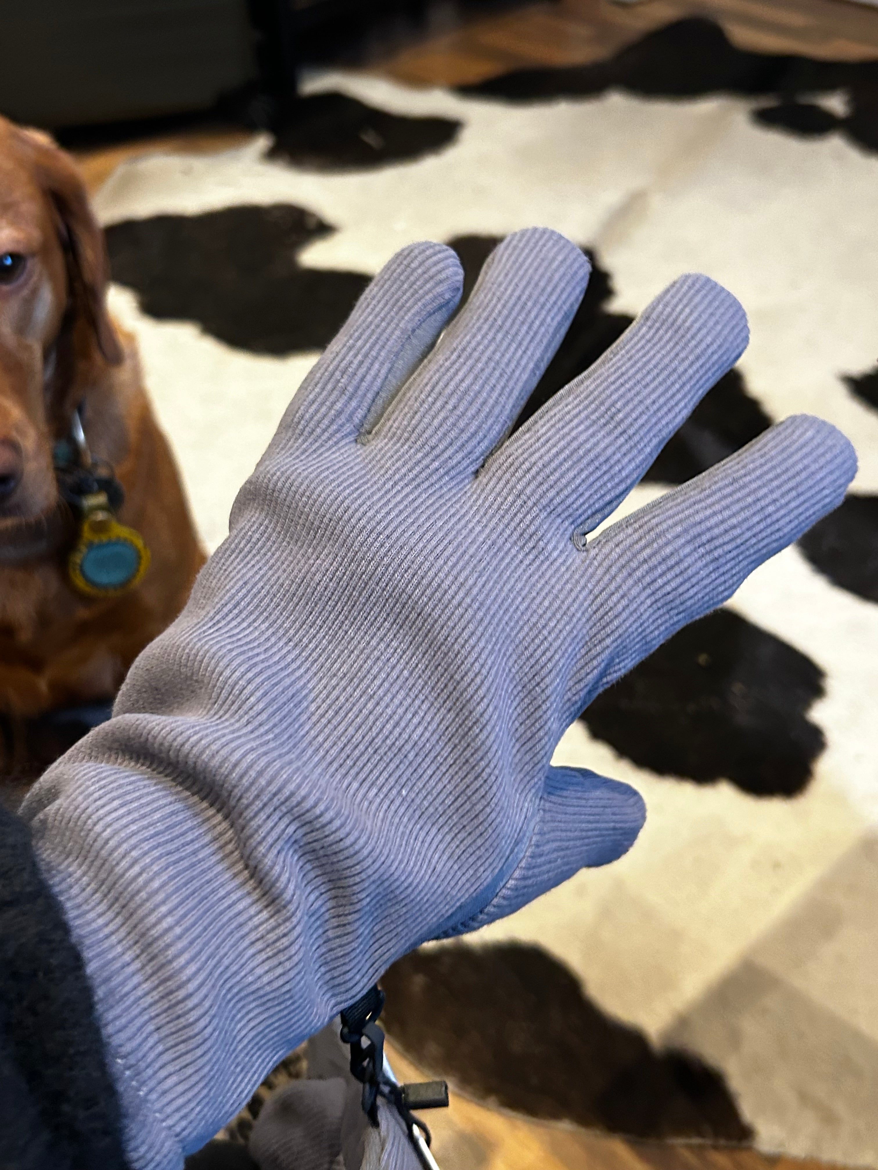 MAIUM Wasserdichte Handschuhe