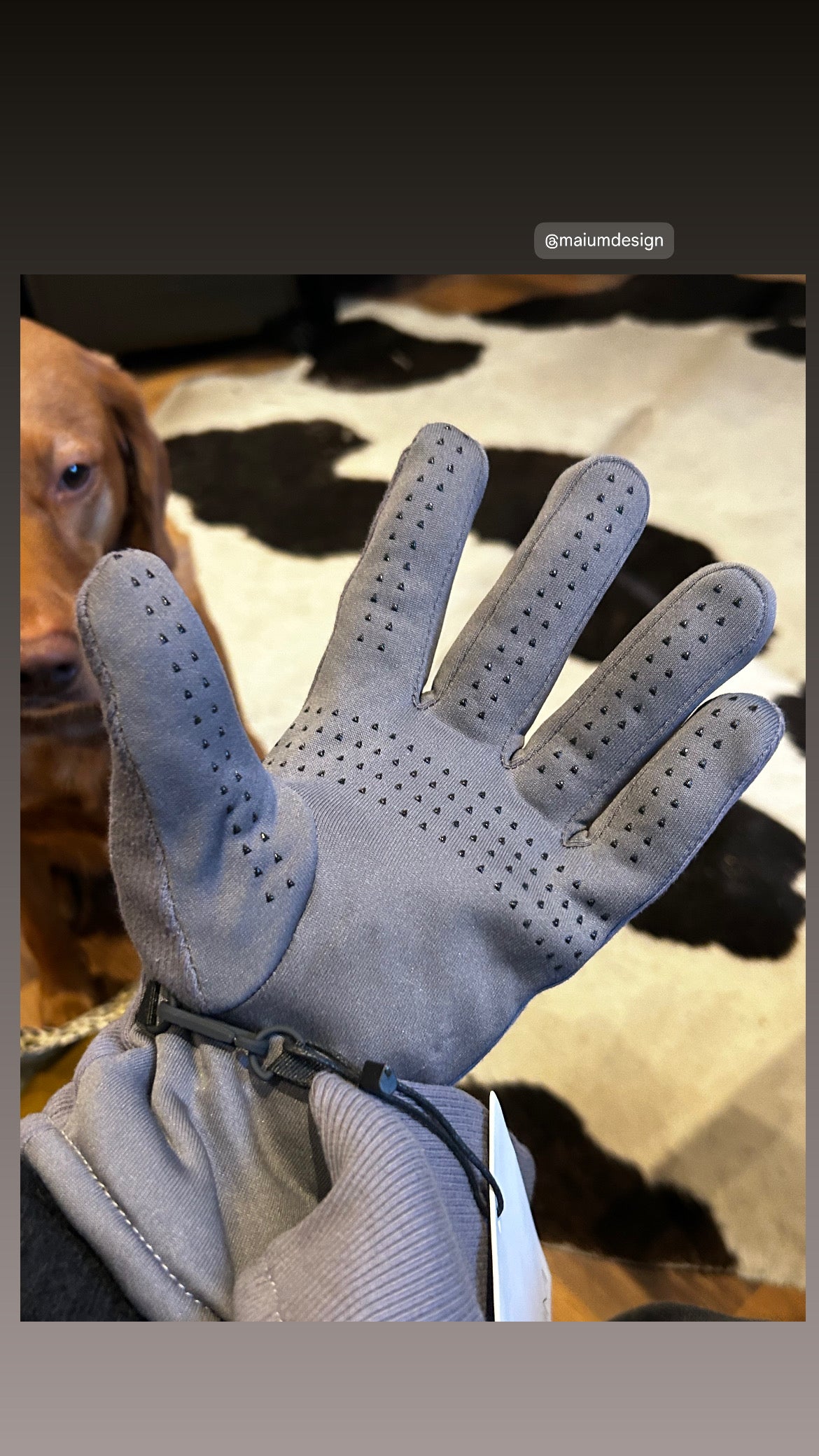 MAIUM Wasserdichte Handschuhe