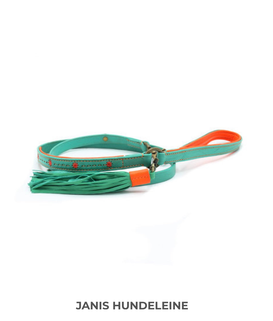 DWAM Dog with a Mission Janis Hundeleine L